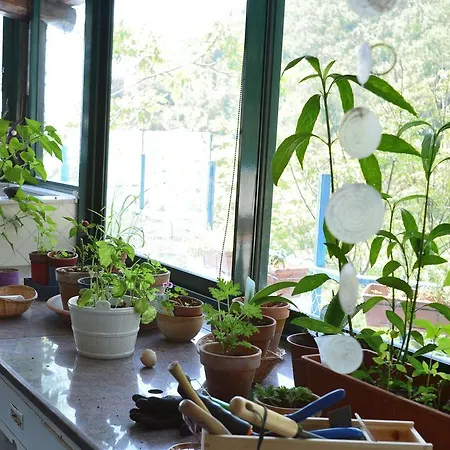 Ferienhaus L'agave: Tra Cielo, Mare E Terra *