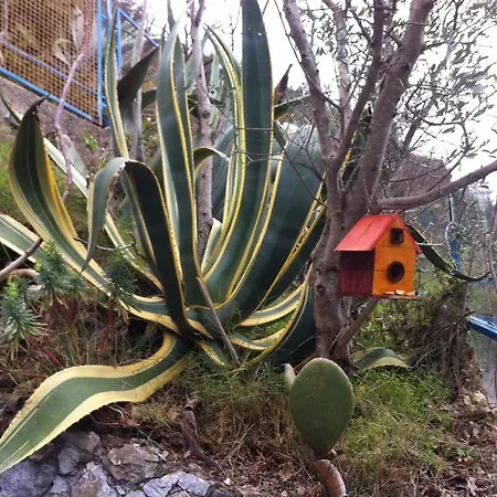 L'agave: Tra Cielo, Mare E Terra Ferienhaus
