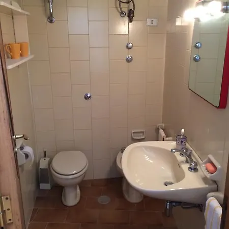 L'agave: Tra Cielo, Mare E Terra *