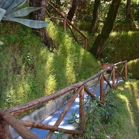 L'agave: Tra Cielo, Mare E Terra Ferienhaus