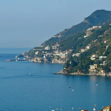 L'agave: Tra Cielo, Mare E Terra